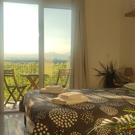 Thalassa Seaside Boutique Beach Apartment Polis Exteriör bild