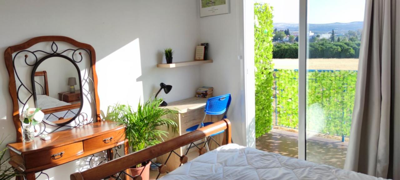 Thalassa Seaside Boutique Beach Apartment Polis Exteriör bild
