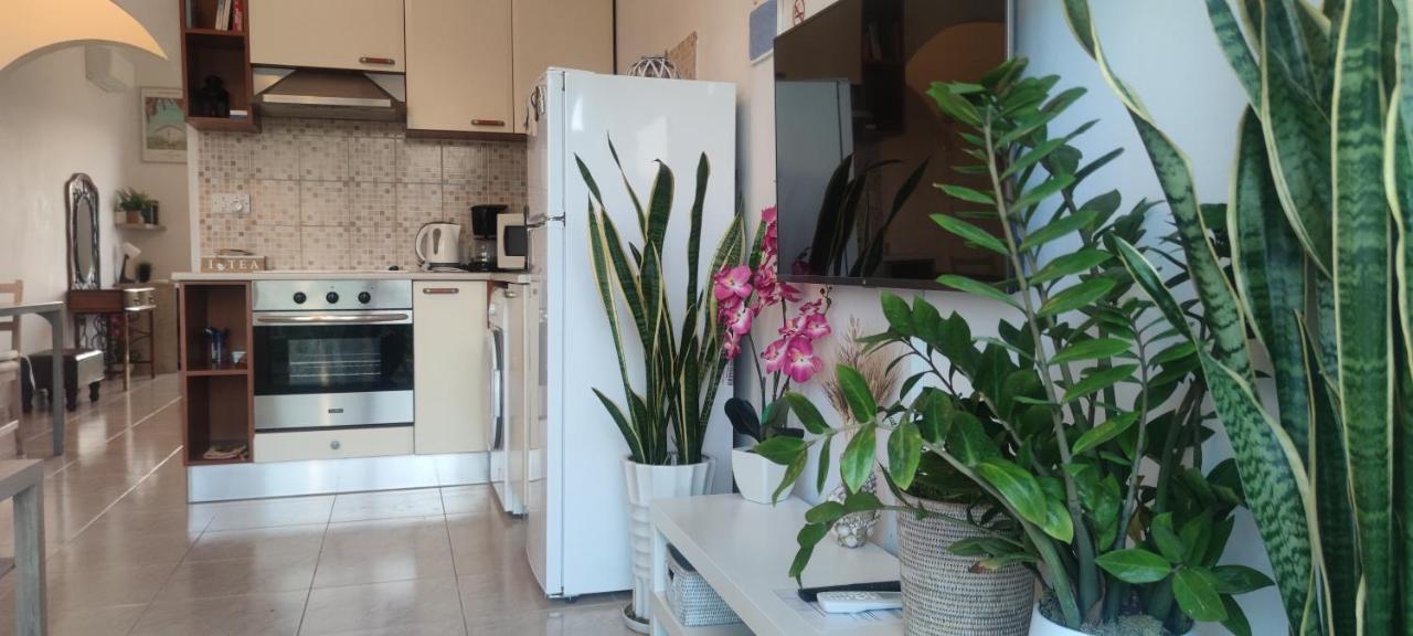 Thalassa Seaside Boutique Beach Apartment Polis Exteriör bild